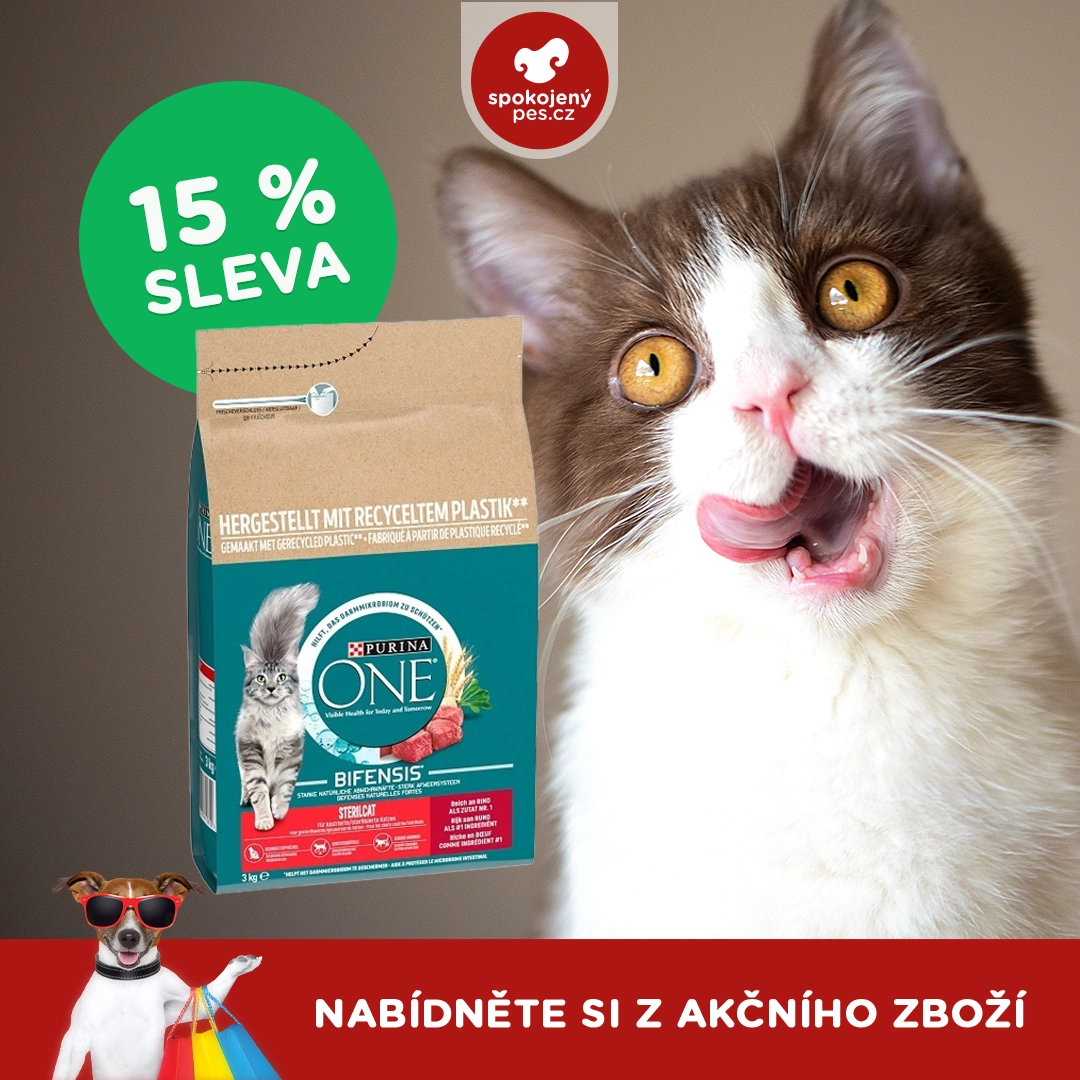 kocka 00015.webp